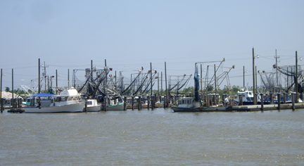 Docked trawlers in Venice as commercial fishing and shrimping is closed